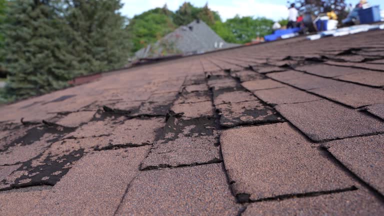 Hot Roofs in Mead, CO