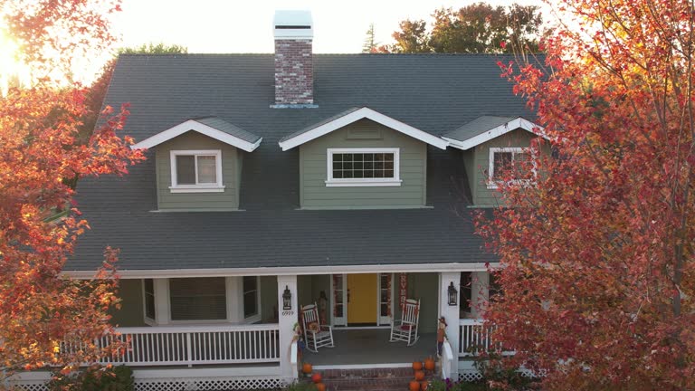 Best Roof Insulation Installation  in Mead, CO