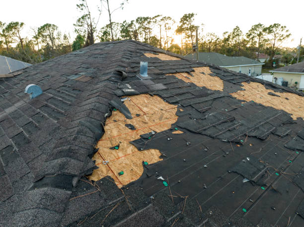 Trusted Mead, CO Roofing Services Experts