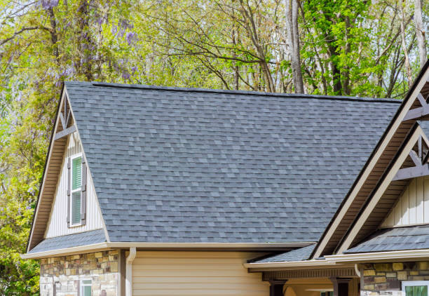 Best Roof Leak Repair  in Mead, CO